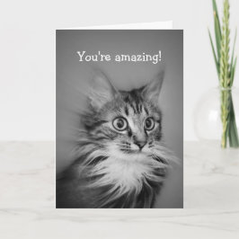 Verbazingwekkende kat met nek Ruff Happy Birthday Kaart