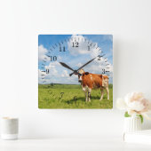 Verbazingwekkende koe op weide. vierkante klok (Huis)
