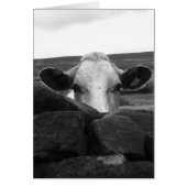 Verbazingwekkende koeienkaart (Voorkant)