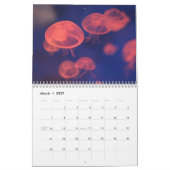 Verbazingwekkende kwallen 2025 kalender (Mar 2027)
