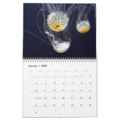 Verbazingwekkende kwallen 2025 kalender (Jan 2027)
