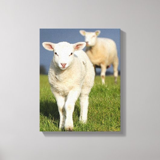 Verbazingwekkende lamp canvas afdruk (Voorkant)
