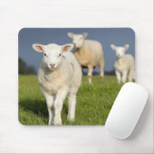 Verbazingwekkende lamp muismat (Met muis)
