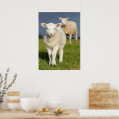 Verbazingwekkende lamp poster (Keuken)