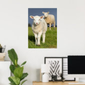 Verbazingwekkende lamp poster (Thuiskantoor)