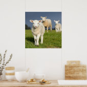 Verbazingwekkende lamp poster (Keuken)