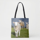 Verbazingwekkende lamp tote bag (Voorkant)