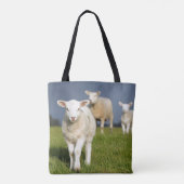 Verbazingwekkende lamp tote bag (Achterkant)