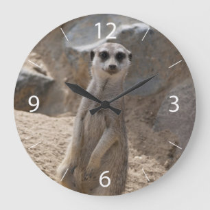 Verbazingwekkende Meerkat Grote Klok
