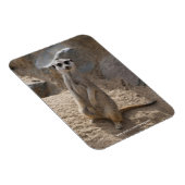 Verbazingwekkende Meerkat Magneet (Rechterzijde)