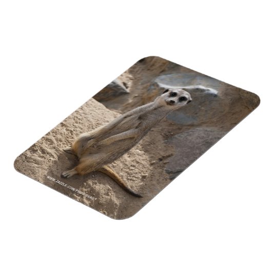 Verbazingwekkende Meerkat Magneet (Linkerzijde)