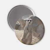 Verbazingwekkende Meerkat Magneet (Voorkant / Achterkant)