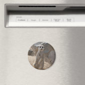 Verbazingwekkende Meerkat Magneet (Insitu (Vaatwasser))