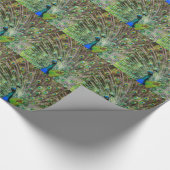 Verbazingwekkende Pauw  en veren foto accessoires Cadeaupapier (Hoek)