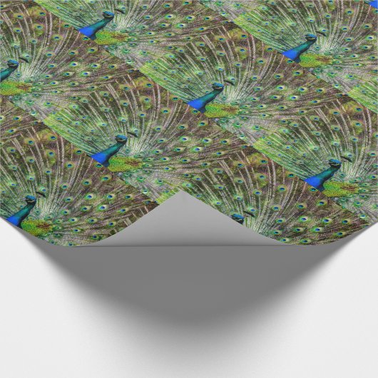 Verbazingwekkende Pauw en veren foto accessoires Cadeaupapier (Hoek)