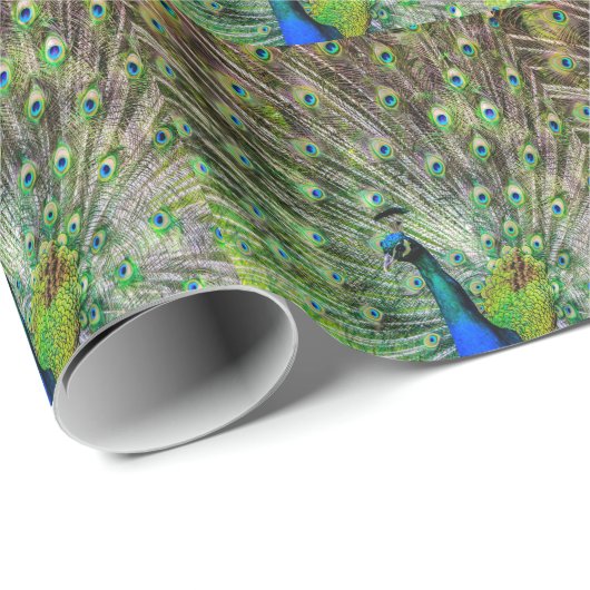 Verbazingwekkende Pauw  en veren foto accessoires Cadeaupapier (Rol Hoek)