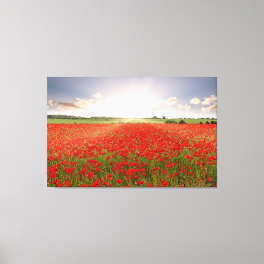 Verbazingwekkende rode papaver veld bij zonsopgang canvas afdruk (Voorkant)