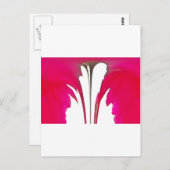 Verbazingwekkende rode roos onder de witte hemel.p briefkaart (Voorkant / Achterkant)