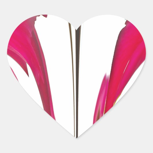 Verbazingwekkende rode roos onder de witte hemel.p hart sticker (Voorkant)