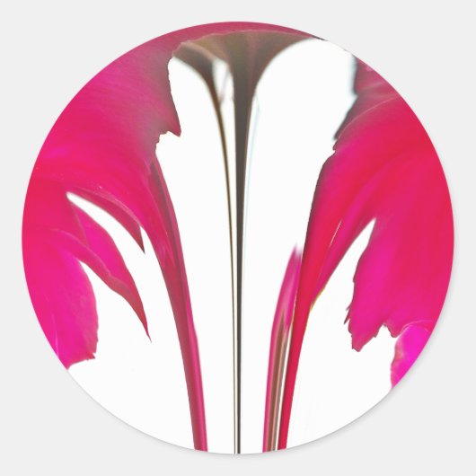 Verbazingwekkende rode roos onder de witte hemel.p ronde sticker (Voorkant)