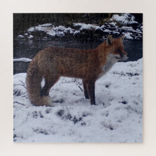 Verbazingwekkende Rode Vos in Sneeuw Natuurlijke W Legpuzzel