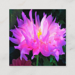 Verbazingwekkende Roze en Paarse Cactus Dahlia Vierkante Visitekaartje