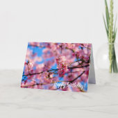 Verbazingwekkende roze Sakura en blauwe hemel van  Kaart (Voorkant)