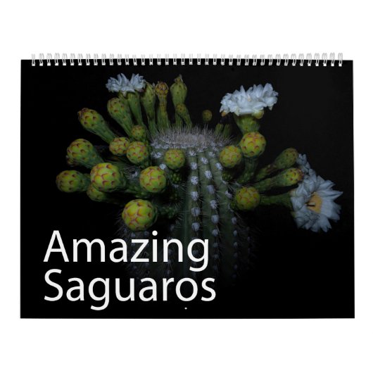Verbazingwekkende Saguaros Kalender (Hoes)