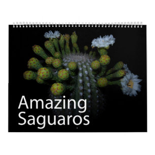 Verbazingwekkende Saguaros Kalender