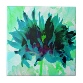 Verbazingwekkende Teal en Zwarte Cactus Dahlia Tegeltje