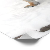 Verbazingwekkende tijger met haar kubus in de snee poster (Hoek)