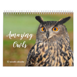 Verbazingwekkende uilen 2025 kalender