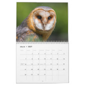 Verbazingwekkende uilen 2025 kalender (Mar 2027)