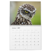 Verbazingwekkende uilen 2025 kalender (Jan 2027)