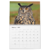 Verbazingwekkende uilen 2025 kalender (Feb 2027)