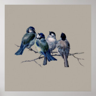Verbazingwekkende Vintage Kunst Blauwe Vogels op t Poster