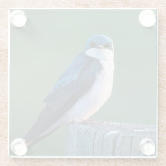 Verbazingwekkende vogel glazen onderzetter