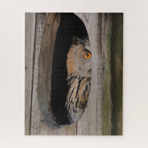 Verbazingwekkende vogeljacht van thuis legpuzzel