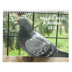 Verbazingwekkende Vogels en Dieren 2012 Kalender