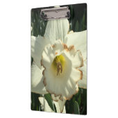 Verbazingwekkende witte daffodil klembord (Links)