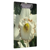 Verbazingwekkende witte daffodil klembord (Rechts)