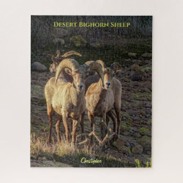 Verbazingwekkende woestijnbighorn-schapenam en ooi legpuzzel