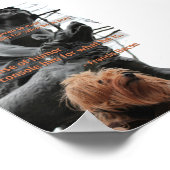 Verbeelding en Humor Citaat Poster (Hoek)