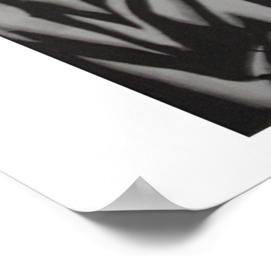 verbeelding poster (Hoek)