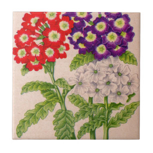 verbena bloemen in rood en paars tegeltje