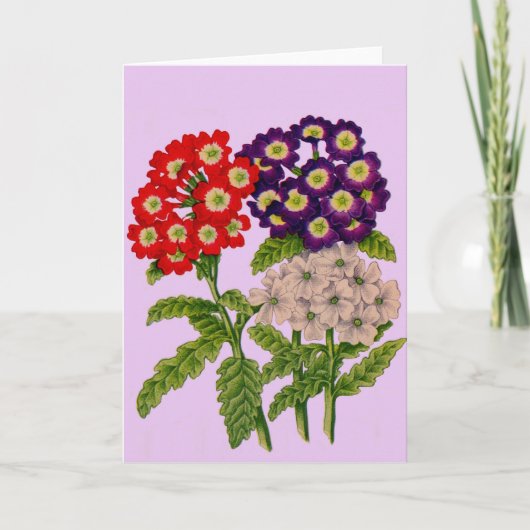 verbena bloemenprint kaart (Voorkant)