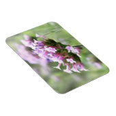 Verbena Bonariensis Magneet (Rechterzijde)