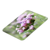 Verbena Bonariensis Magneet (Linkerzijde)