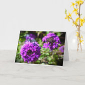 Verbena, Kaart (Gele Bloem)