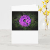 Verbena, kaart (Gele Bloem)